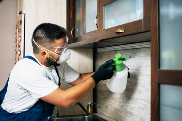 Best Best Pest Control Companies  in Bolivar, MO