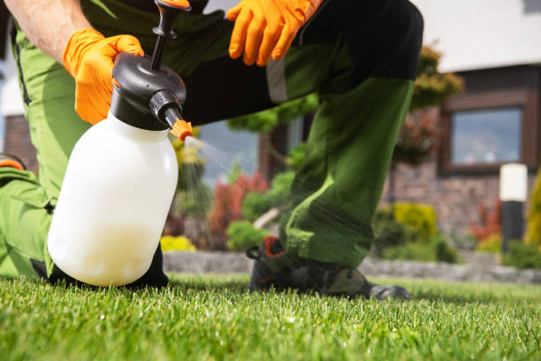 Wildlife Control Services in Bolivar, MO