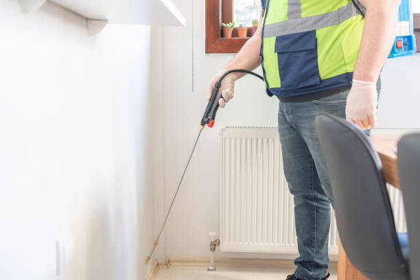 Best Termite Control Services  in Bolivar, MO